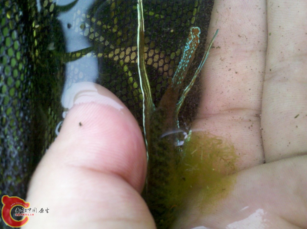 2011-07-02_12-08-11_788.jpg