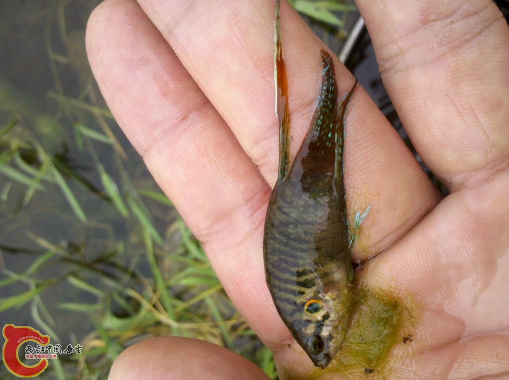 2011-07-02_12-08-40_201.jpg
