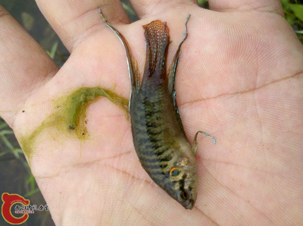 2011-07-02_12-09-22_212.jpg