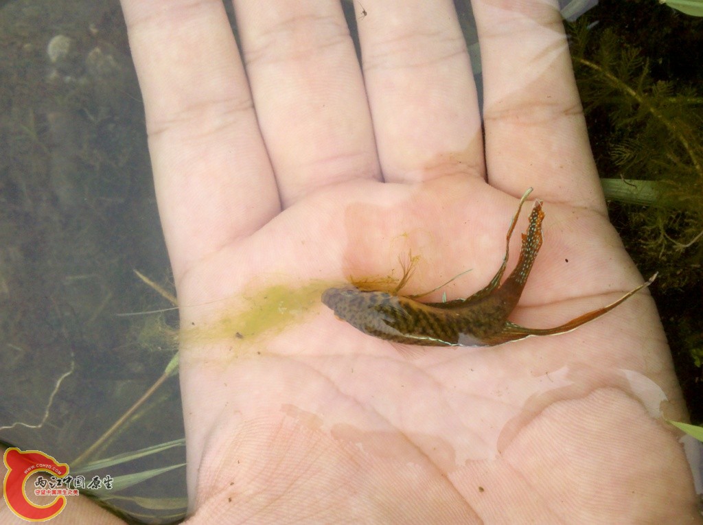 2011-07-02_12-09-33_299.jpg