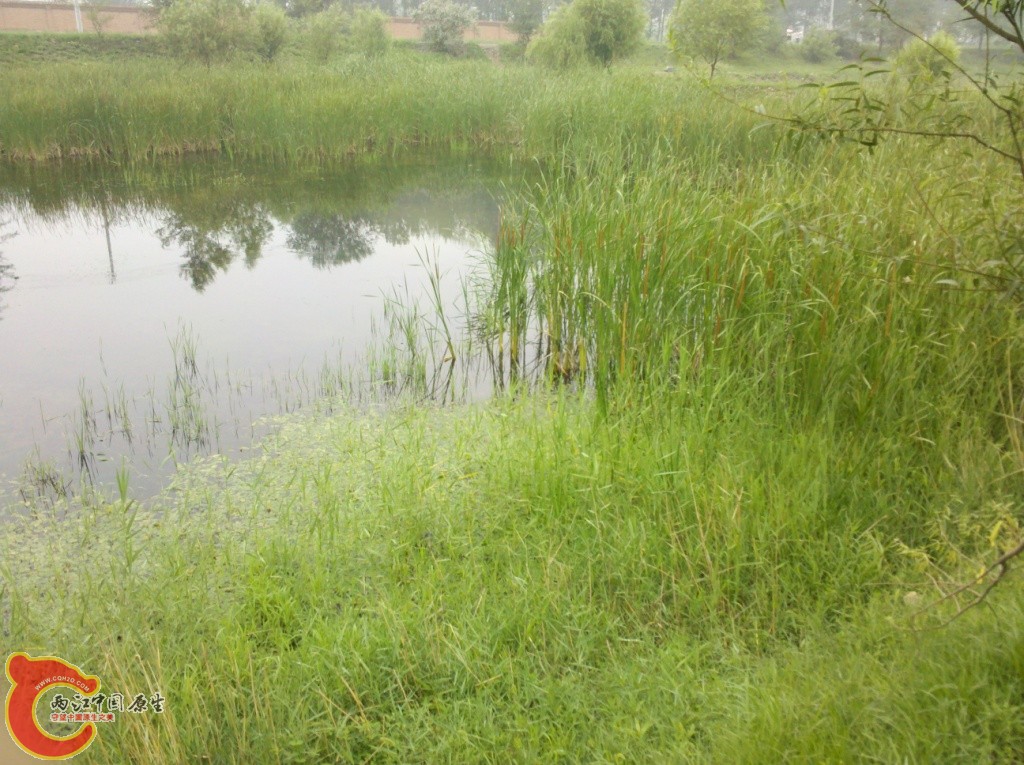 2011-07-02_12-31-57_513.jpg