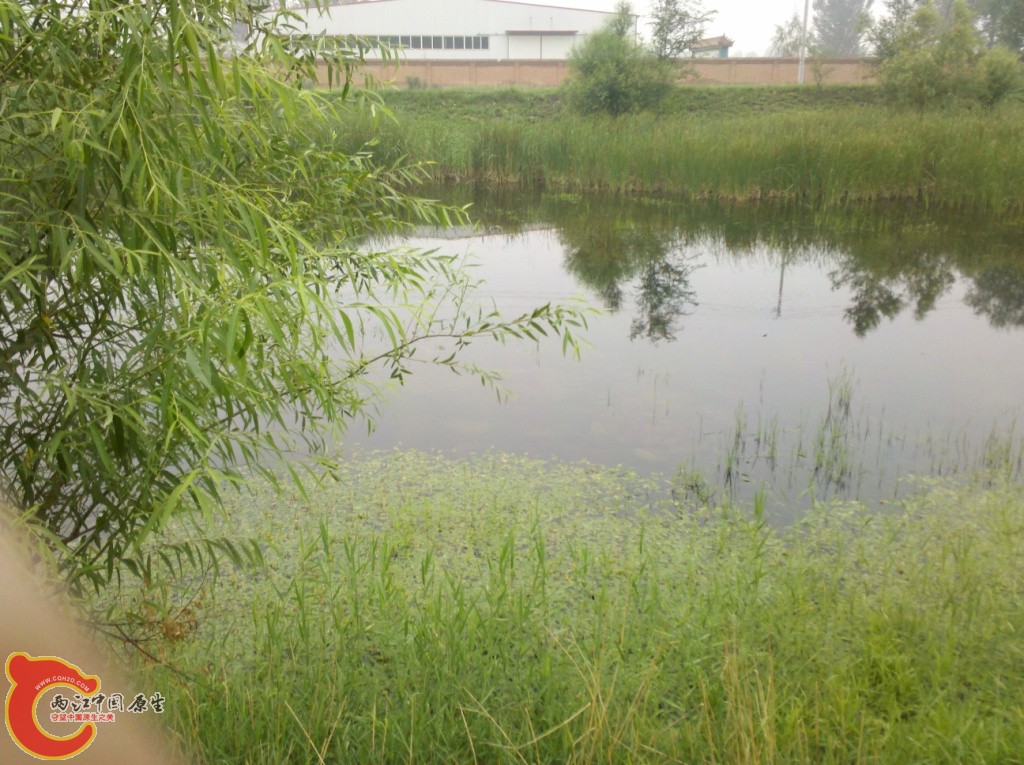 2011-07-02_12-32-01_512.jpg