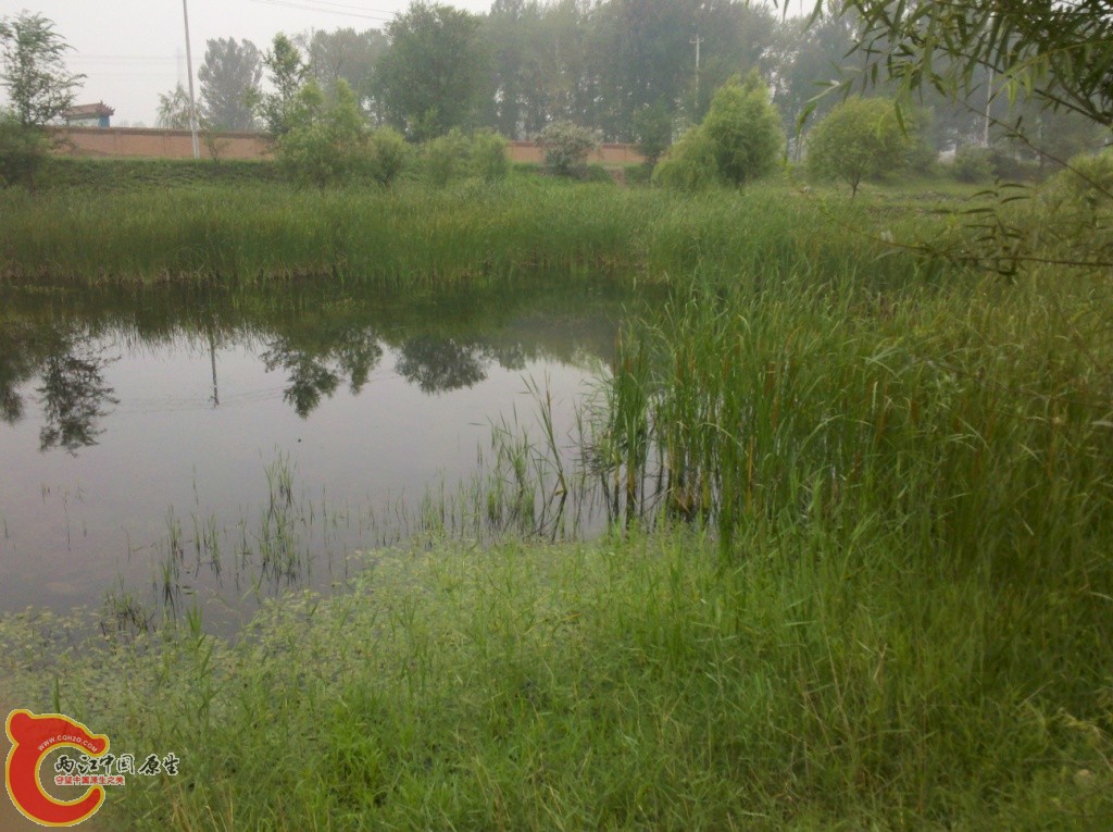 2011-07-02_12-32-07_226.jpg