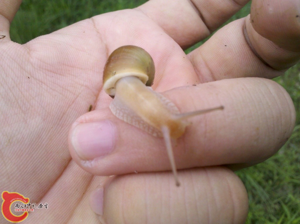 2011-07-02_12-32-37_632.jpg
