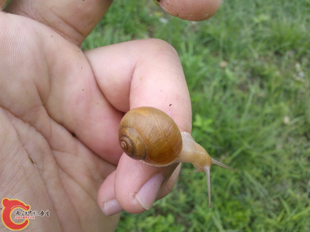 2011-07-02_12-32-43_304.jpg