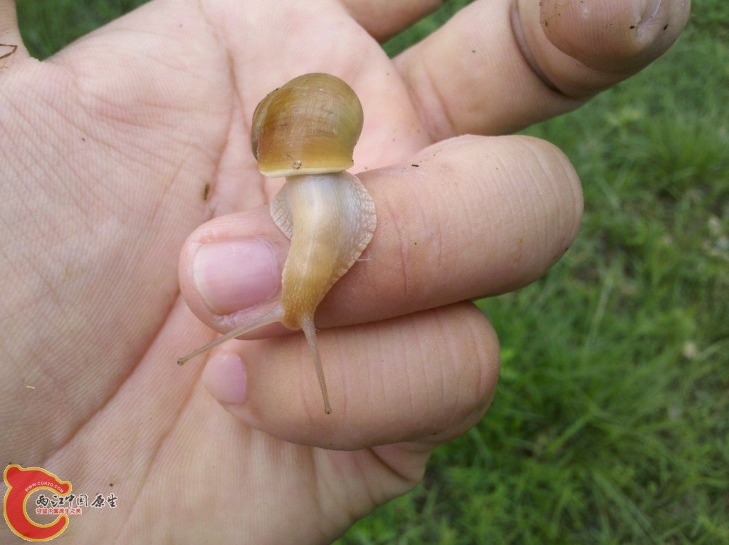 2011-07-02_12-32-48_749.jpg