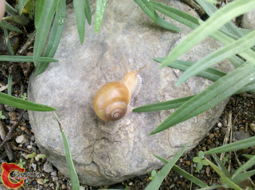 2011-07-02_12-34-12_752.jpg