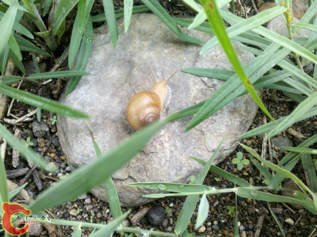 2011-07-02_12-34-17_848.jpg