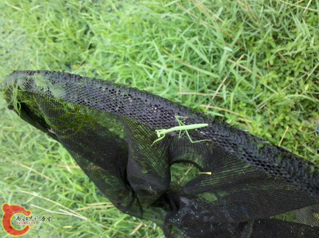 2011-07-02_12-36-09_562.jpg