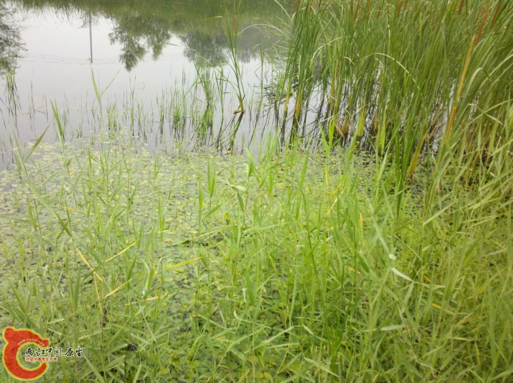 2011-07-02_12-38-30_546.jpg