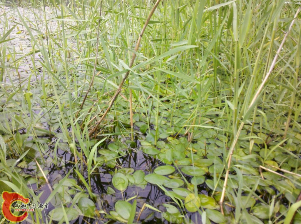 2011-07-02_12-38-43_631.jpg