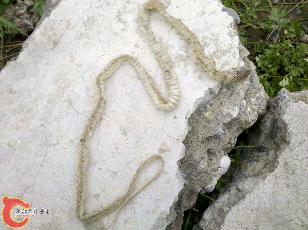 2011-07-02_12-55-18_521.jpg