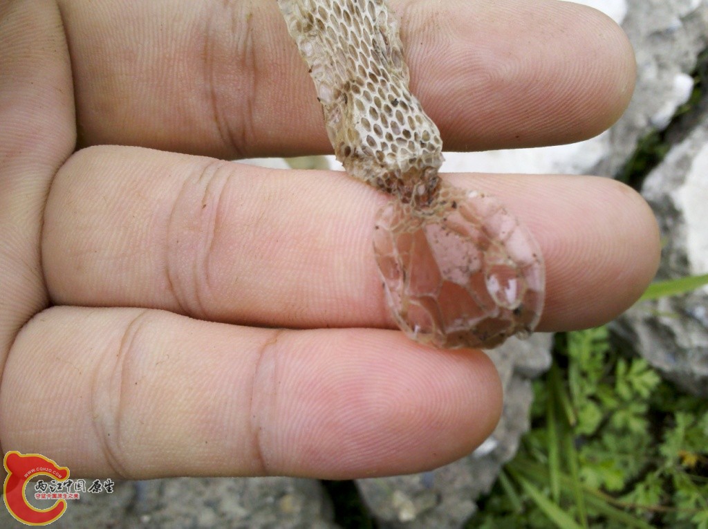 2011-07-02_12-55-32_179.jpg