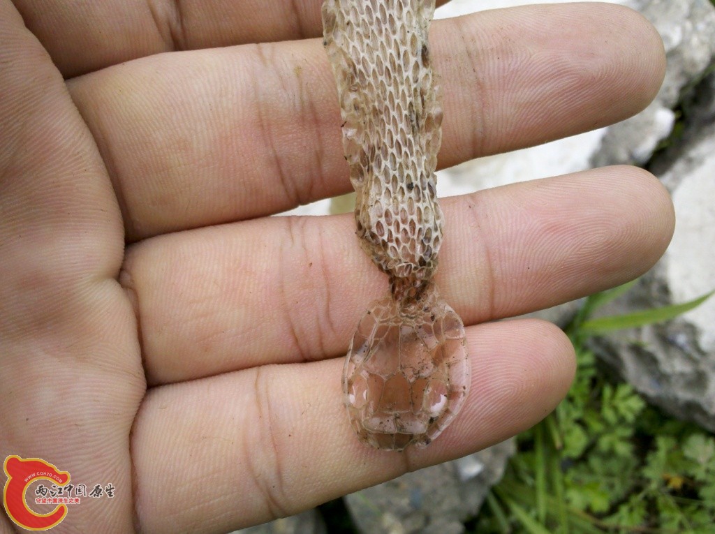 2011-07-02_12-55-38_950.jpg