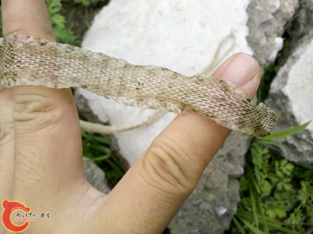 2011-07-02_12-56-07_882.jpg
