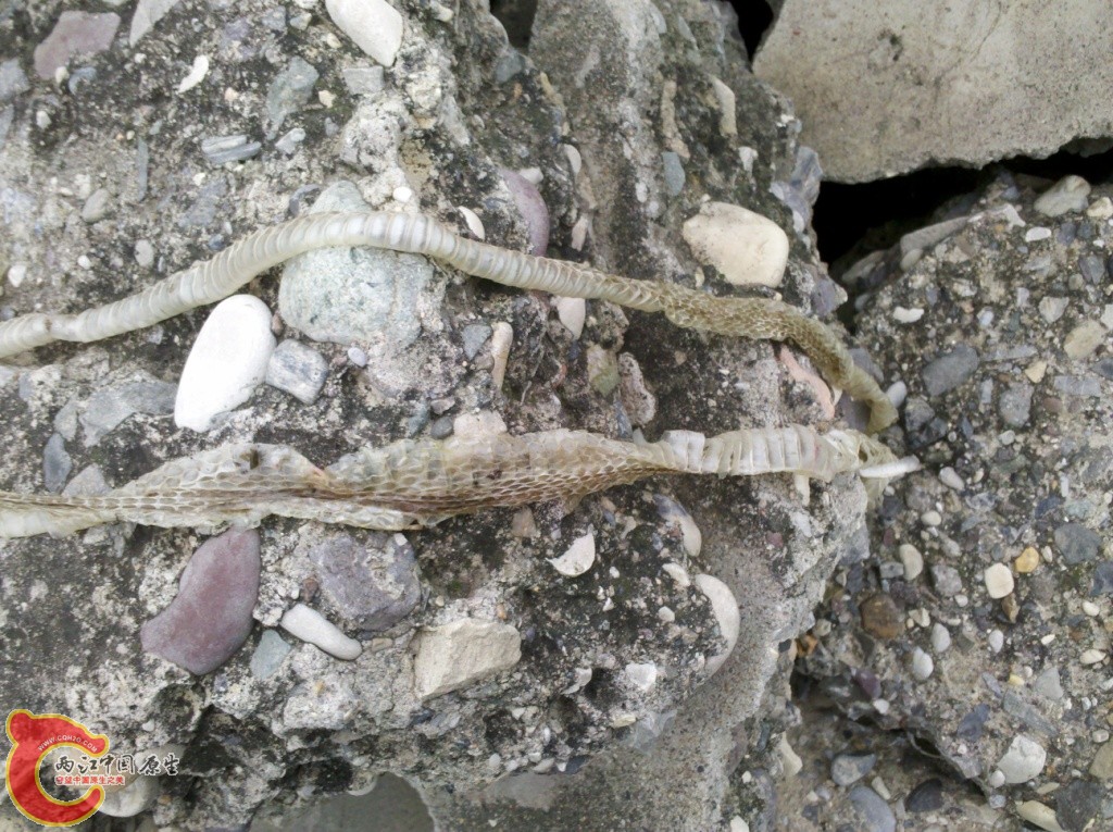 2011-07-02_12-57-29_882.jpg