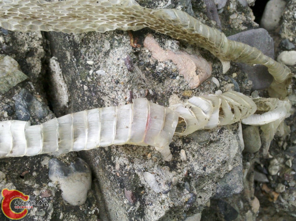 2011-07-02_12-57-34_663.jpg