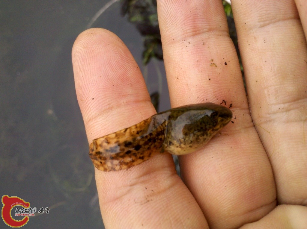 2011-07-02_12-59-59_616.jpg