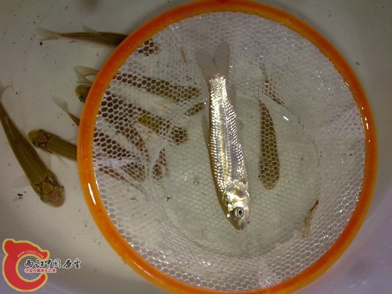 201107031169.jpg
