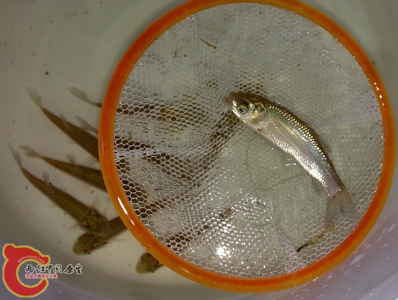 201107031168.jpg