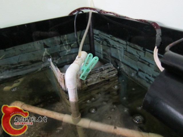 过滤槽，出水管上有一软管，好充氧（最好把软管留出缸外），如果我之前有先见的话，会在做缸时把过滤的功能 ...