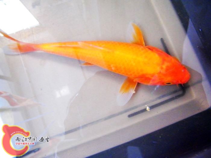 DSCF5953.JPG