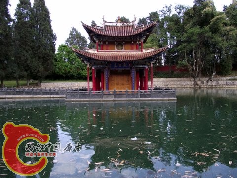 是当地的 神鱼受到保护