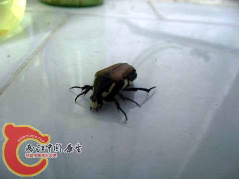 照片 053.jpg