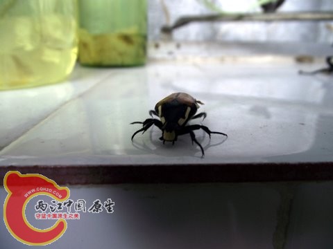照片 054.jpg