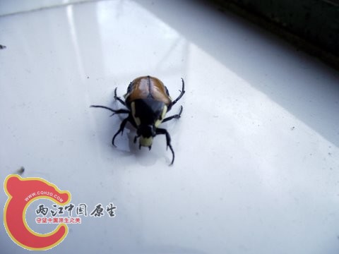 照片 055.jpg