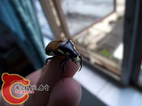 照片 056.jpg