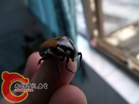 照片 057.jpg