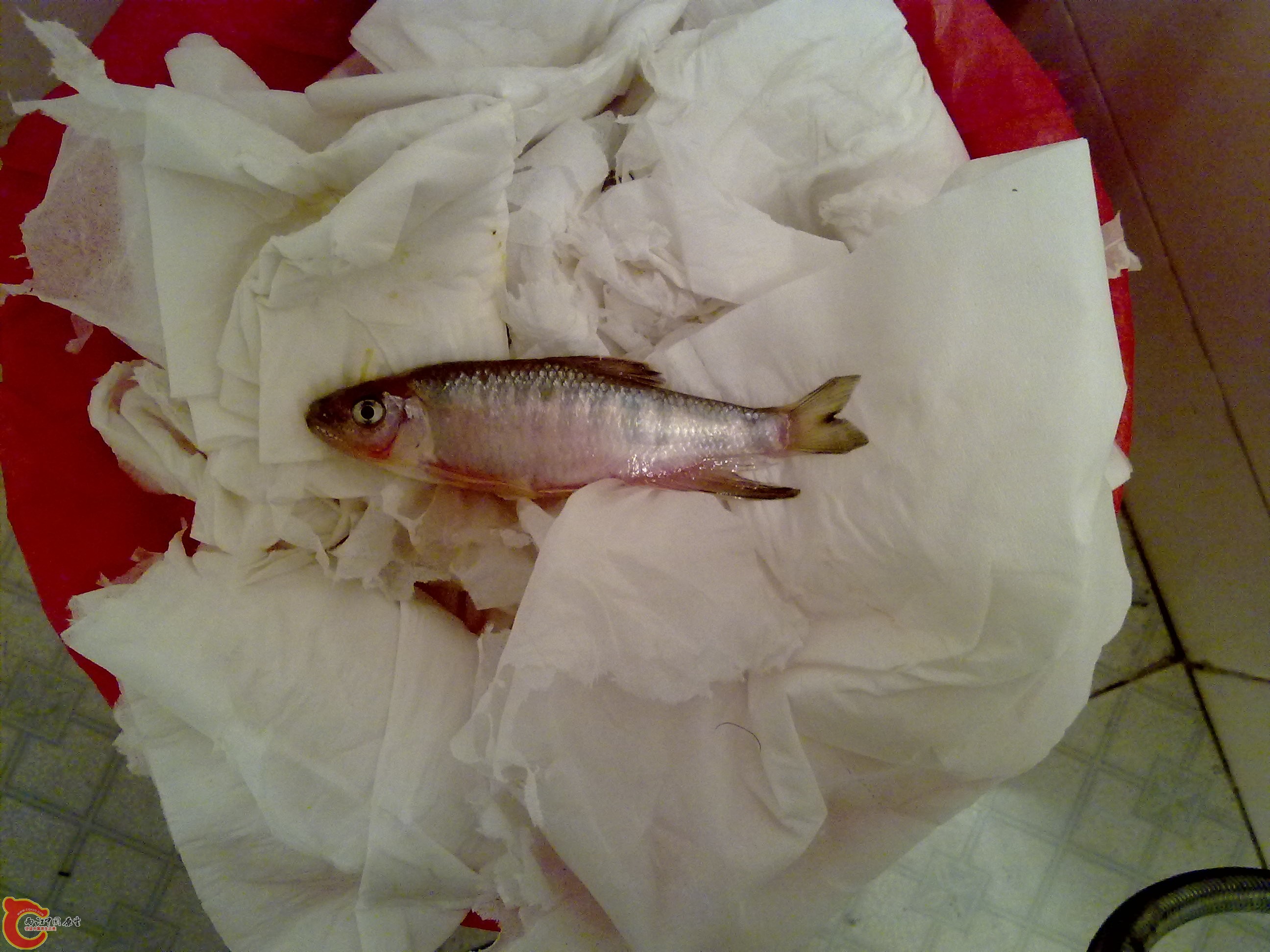 20110705572.jpg