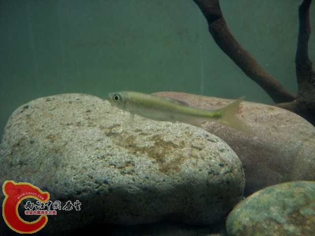DSC05717.jpg