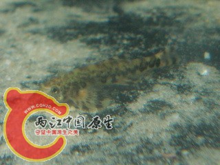 DSC05715.jpg