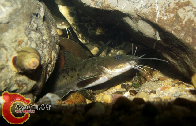 DSCF5612.jpg