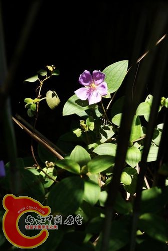 DSC02559.jpg