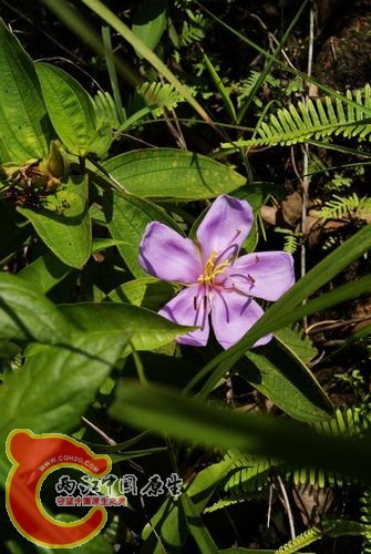 DSC02570.jpg