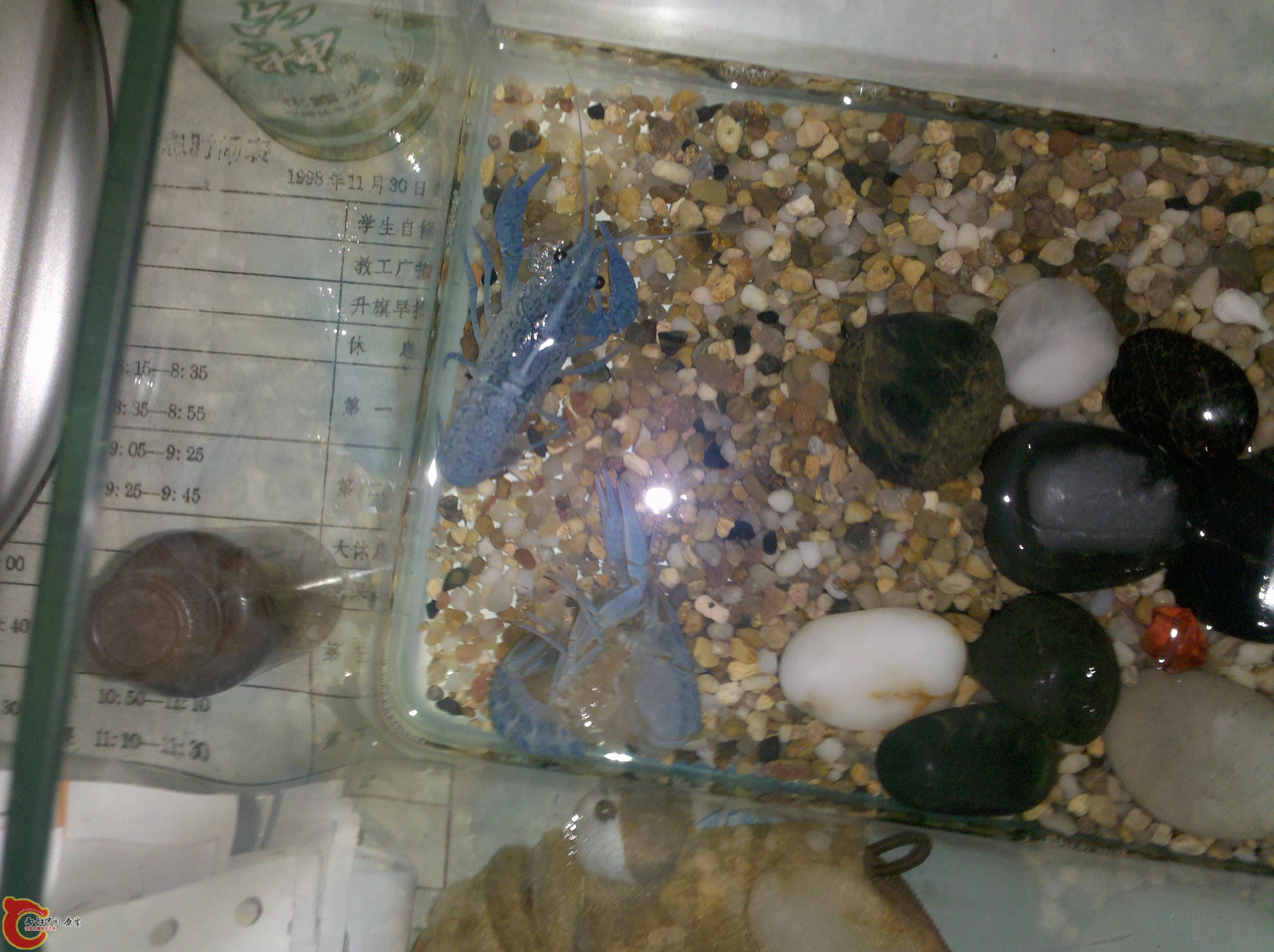 2011-07-07_08-56-09_645.jpg