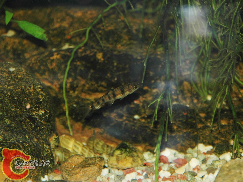 DSC_8097.JPG