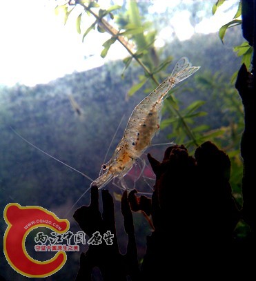 IMAG0204_副本.jpg
