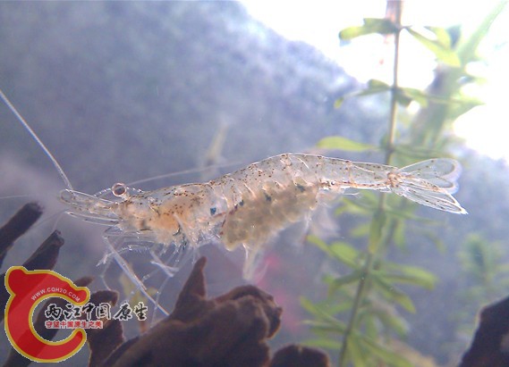 IMAG0206_副本.jpg