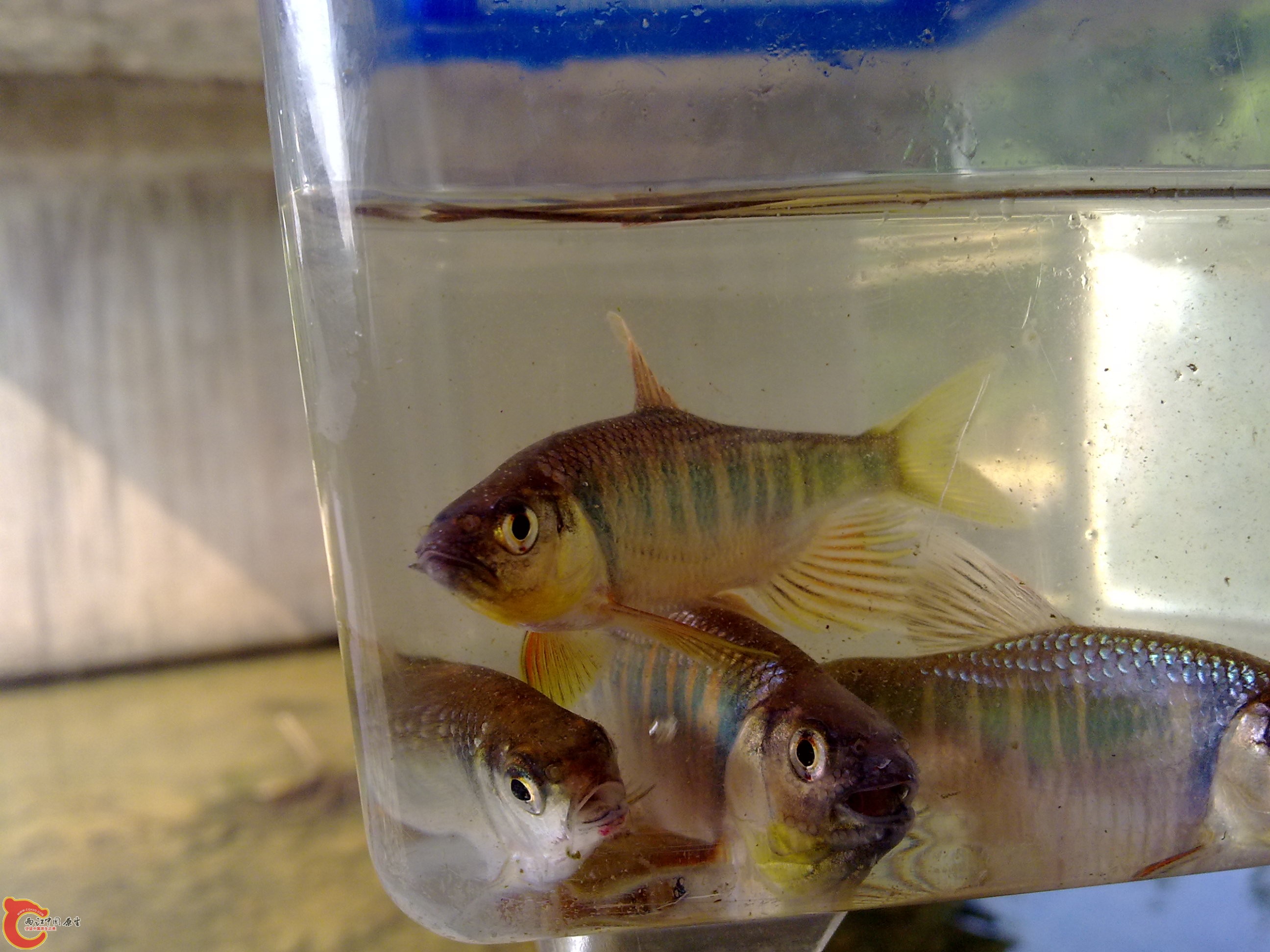 20110707662.jpg