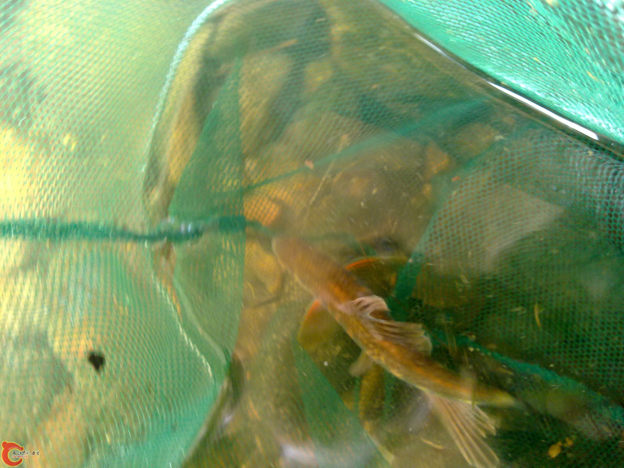 20110707652.jpg