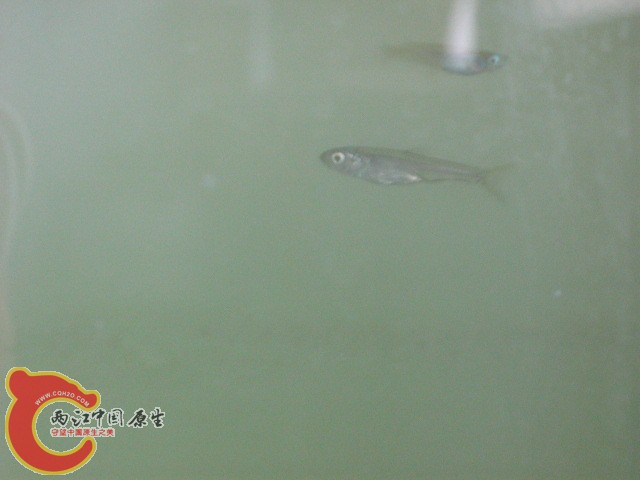 IMG_2759.JPG