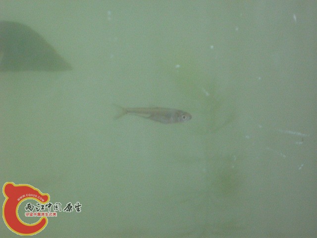 IMG_2760.JPG