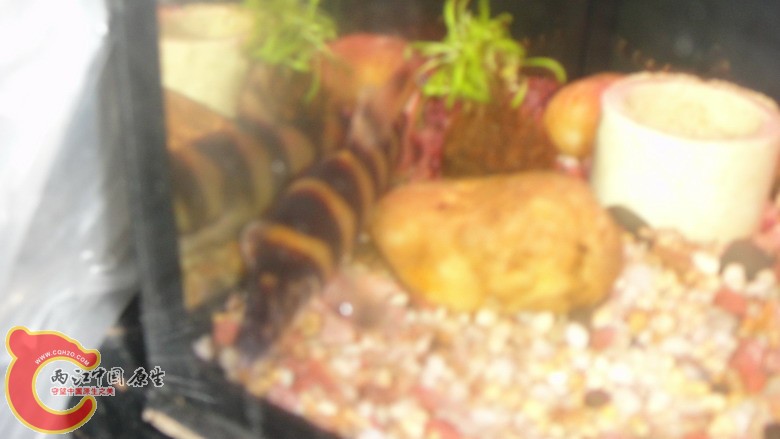 DSC05807_缩小大小.JPG