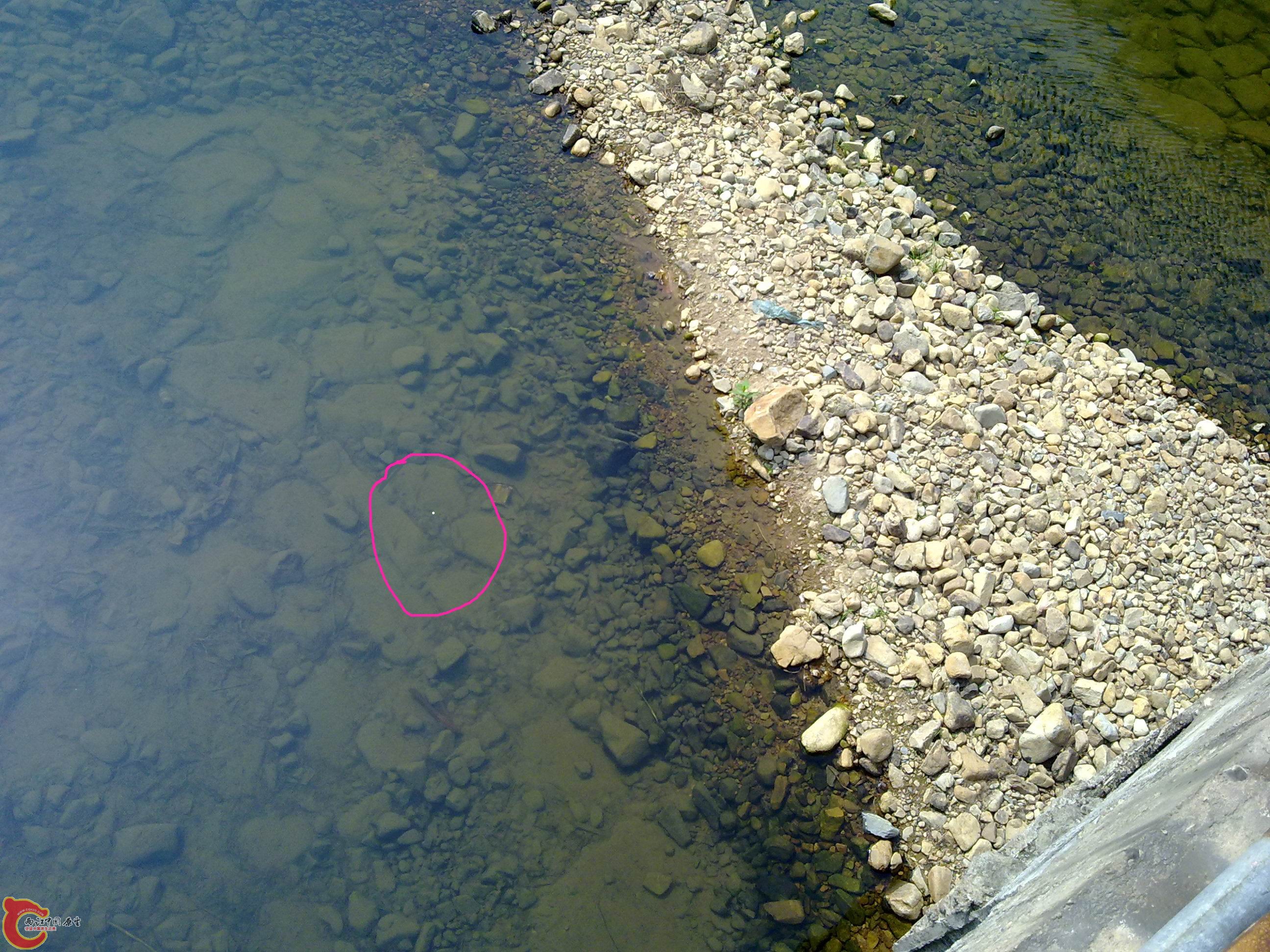 20110707638.jpg