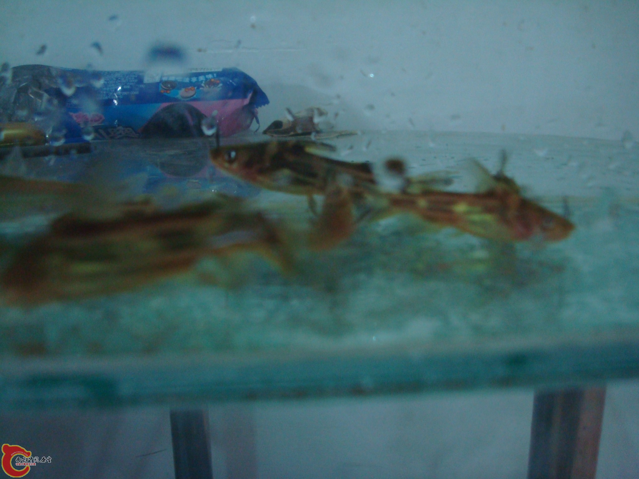 DSC03927.JPG