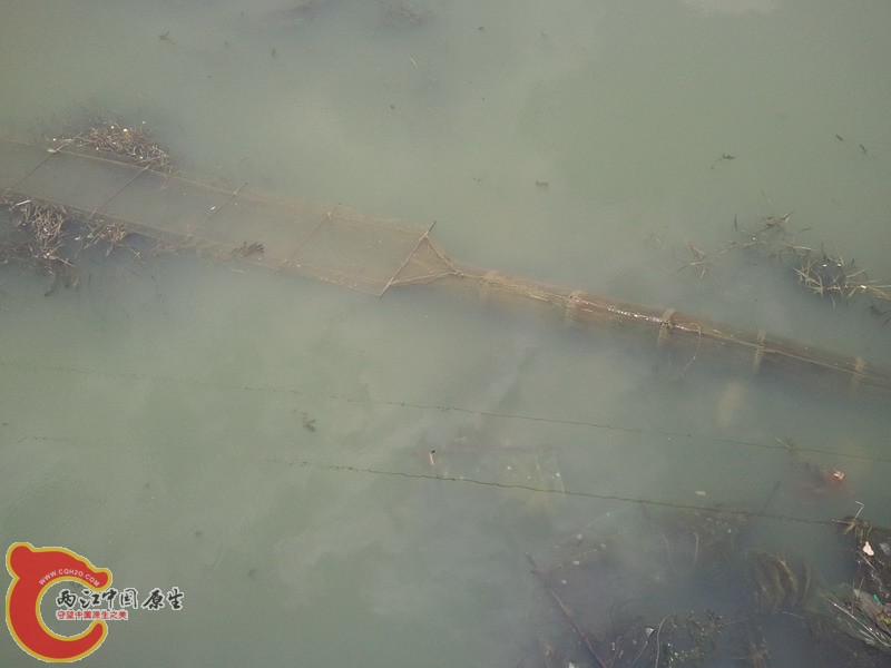 2011-07-09 13.08.40.jpg